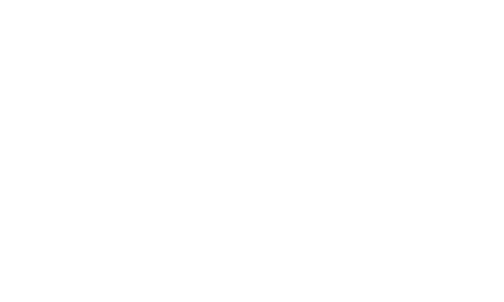 Groupe BPCE Logo Blanc